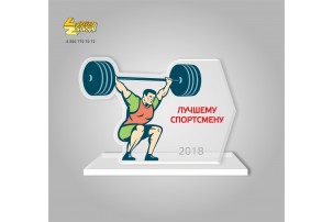 Награда ПВХ с УФ печатью и металлическим шильдом
